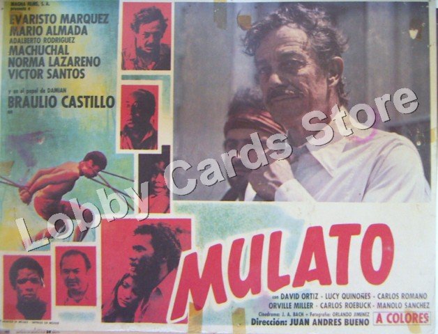 MARIO ALMADA / MULATO
